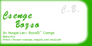 csenge bozso business card